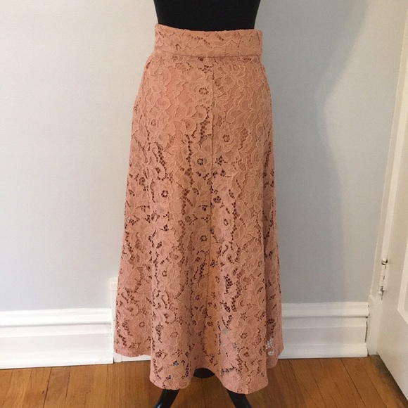 Zara A-line Pink Floral Lace Midi Skirt, XS - Picture 4 of 8